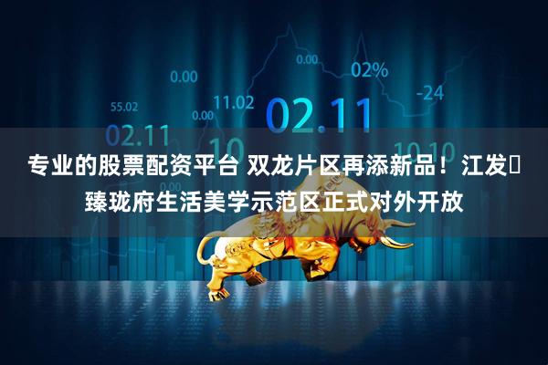 专业的股票配资平台 双龙片区再添新品！江发・臻珑府生活美学示范区正式对外开放